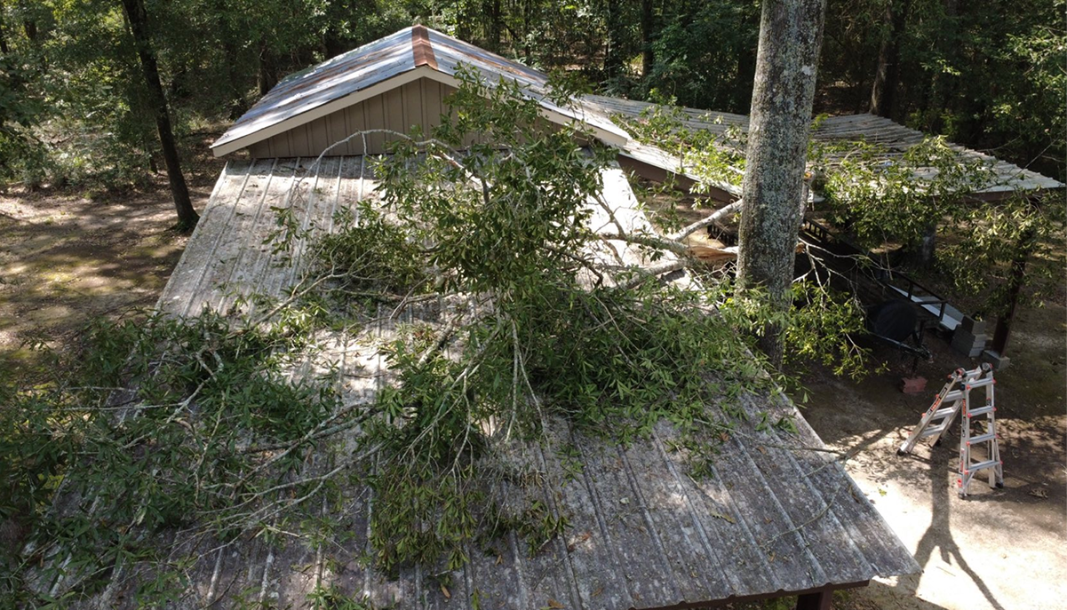 537147554 122124585740941971 4421048544309324983 n